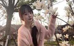 色欲迷墙电影下载